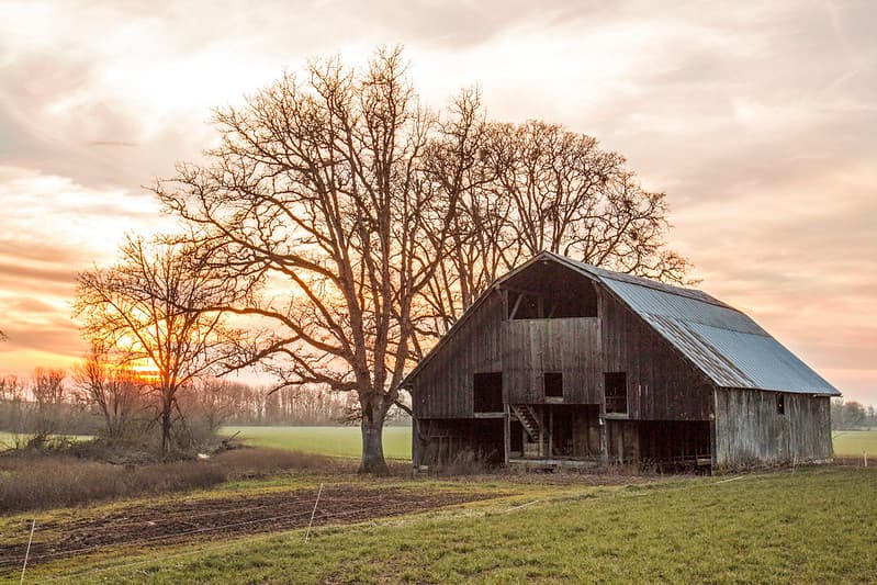 Old barn, winter sunset, Oregon