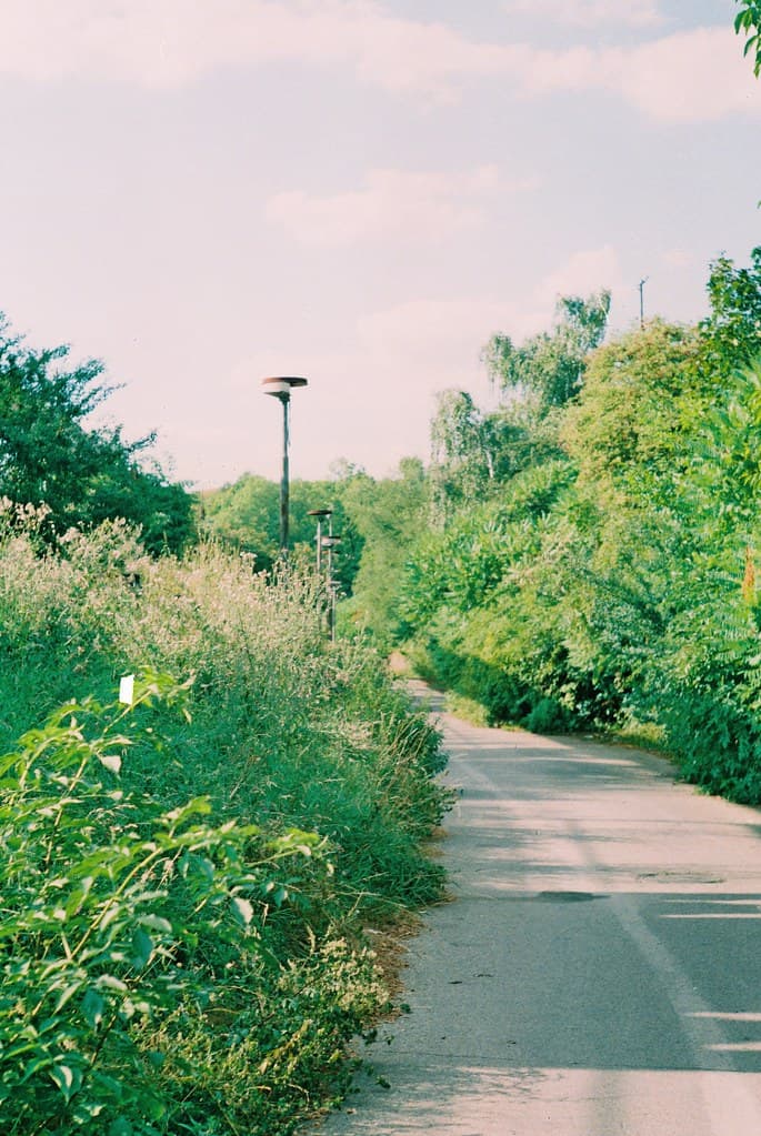 Path with Dead Lamps (Kiev camera)