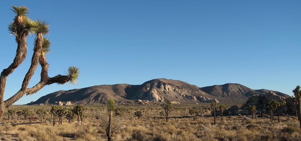 Ryan Mountain