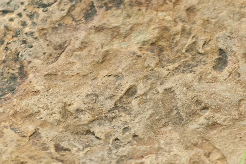 Textures and Backgrounds