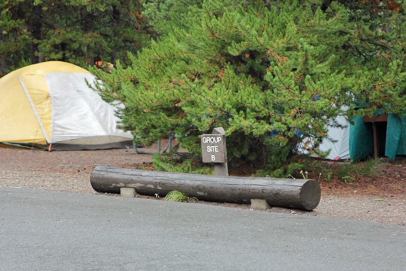 Bridge Bay Campground group site