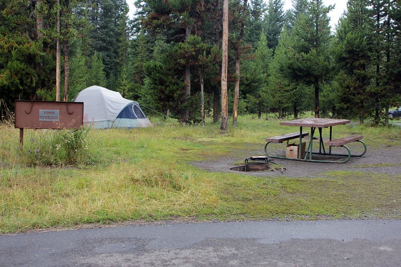 Bridge Bay Campground site