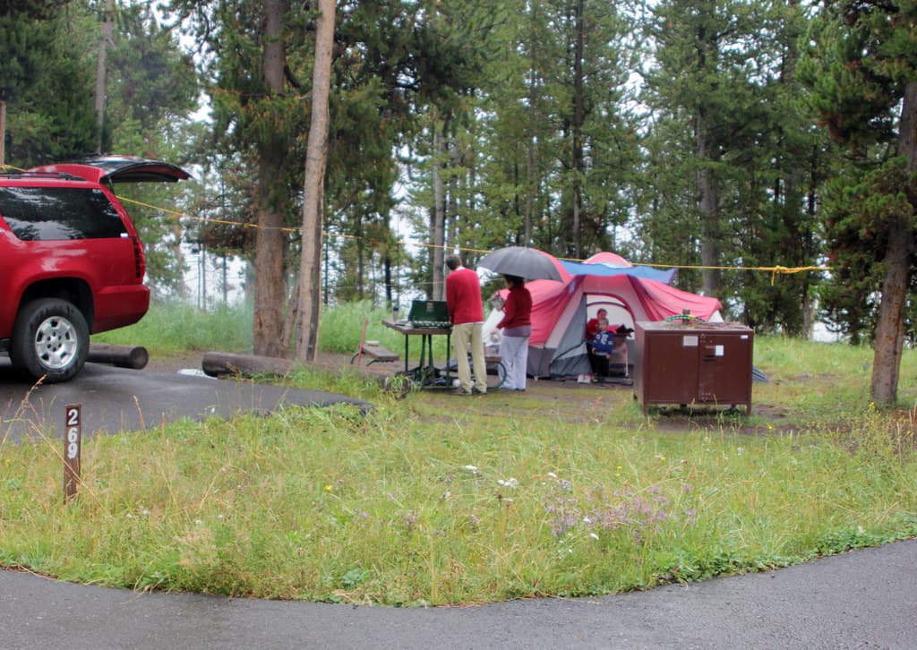 Bridge Bay Campground site