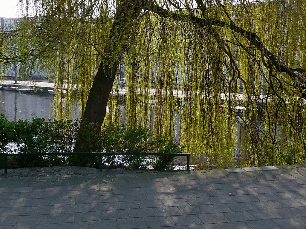Amsterdam, amsterdamcity, april