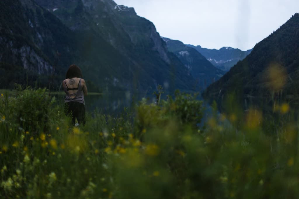 Landscape Portrait (Creative Commons )