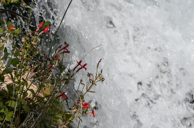 Waterfall Trail on Fossil Creek
