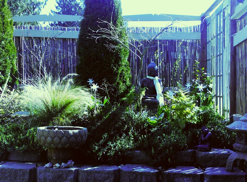 Bamboofence, blue, buddha