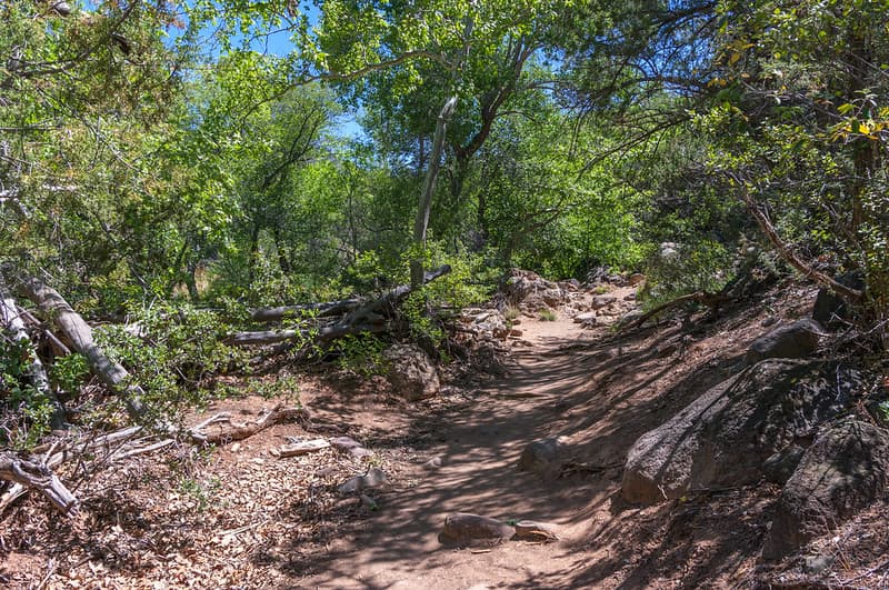 Waterfall Trail on Fossil Creek