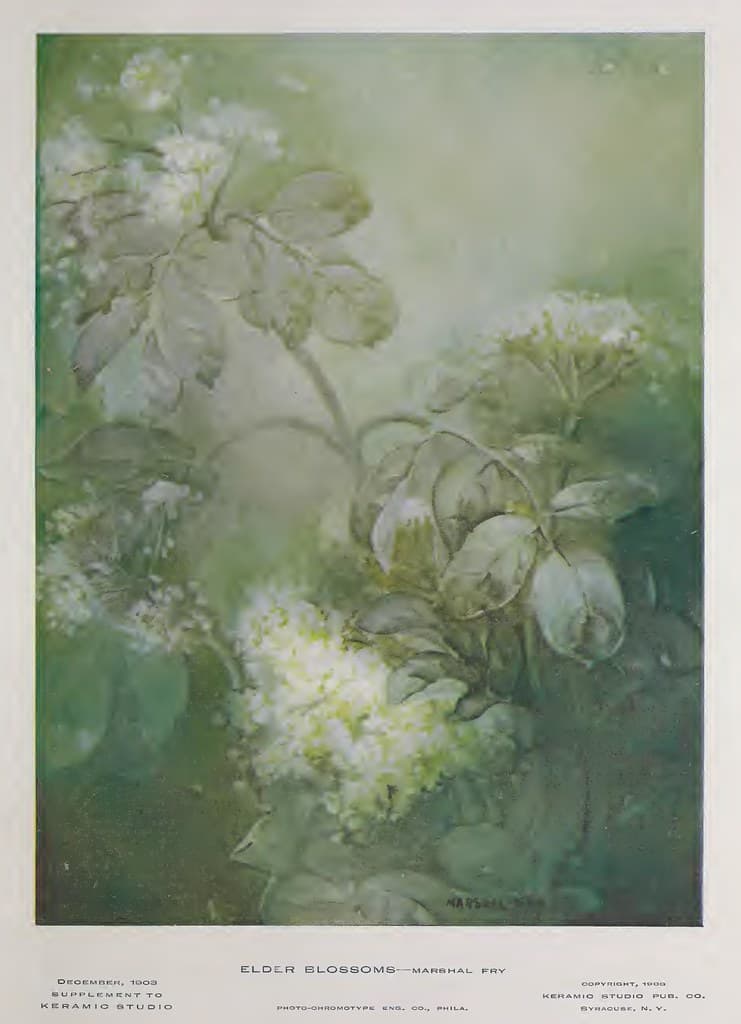 1903 Elder Blossoms Keramic Studio