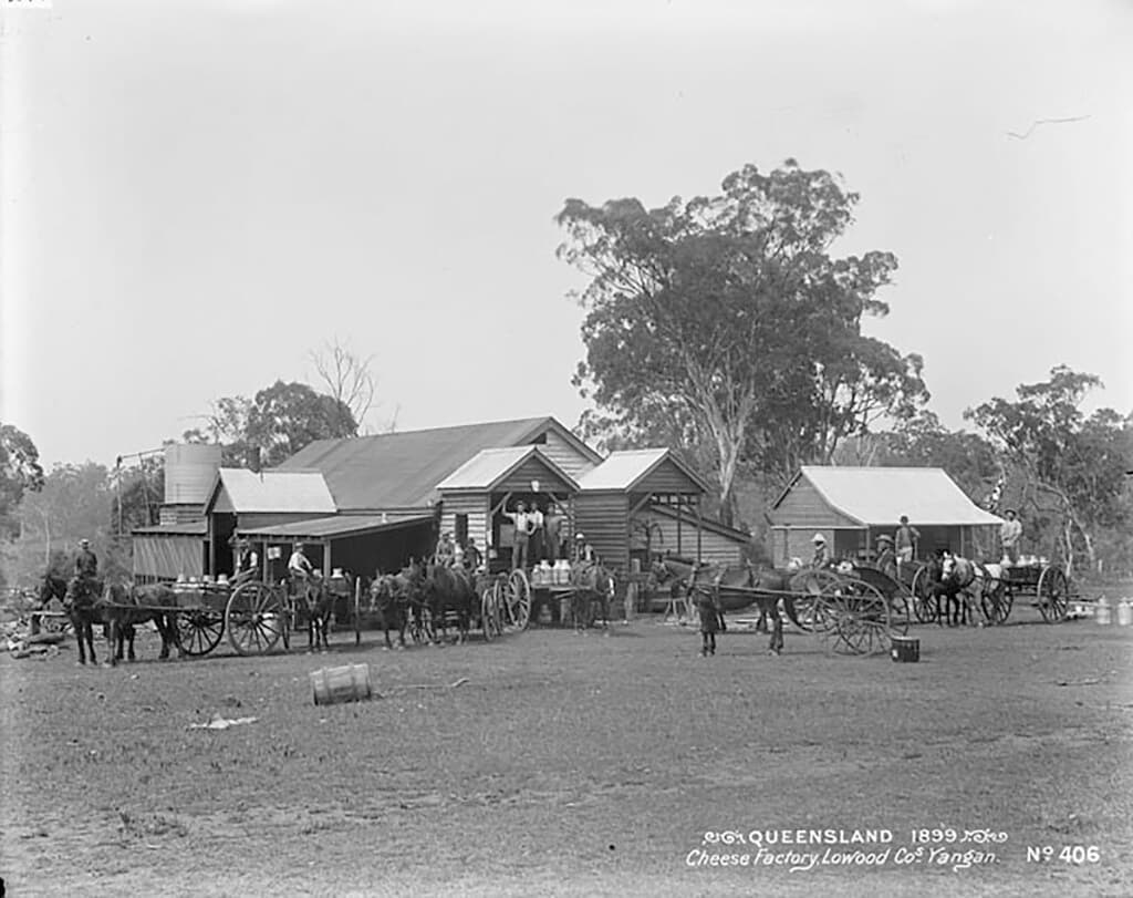 Cheese factory, Lowood Co. Yangan. No 406, 1899