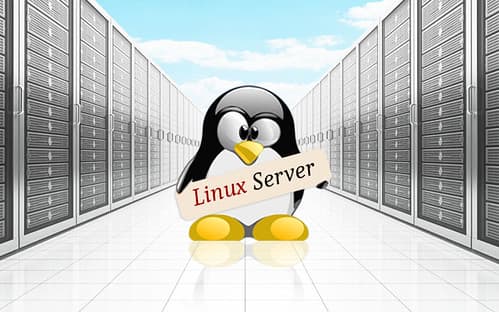 Linux Server for Your Small Business