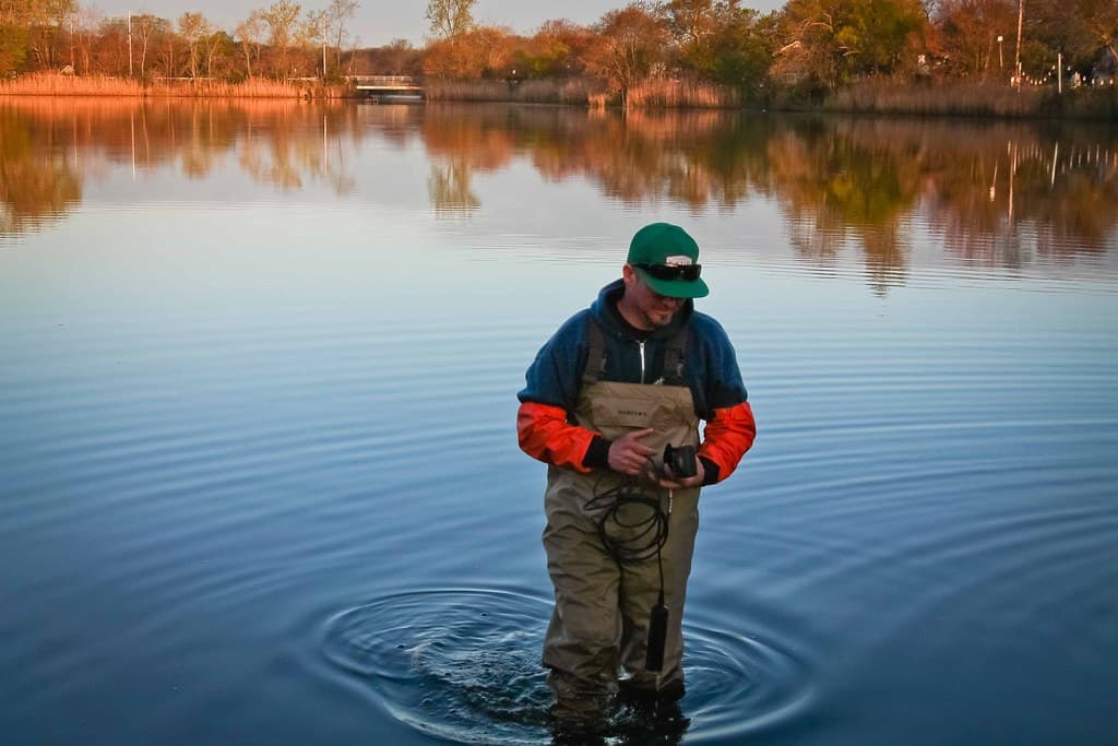 Alewife, aquaticconnectnj, coastalrestoration