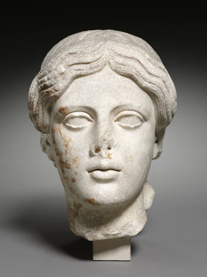 Idealized Head